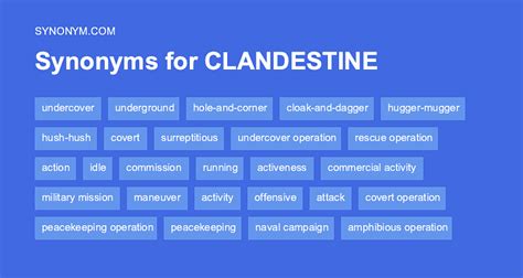 synonym for clandestine